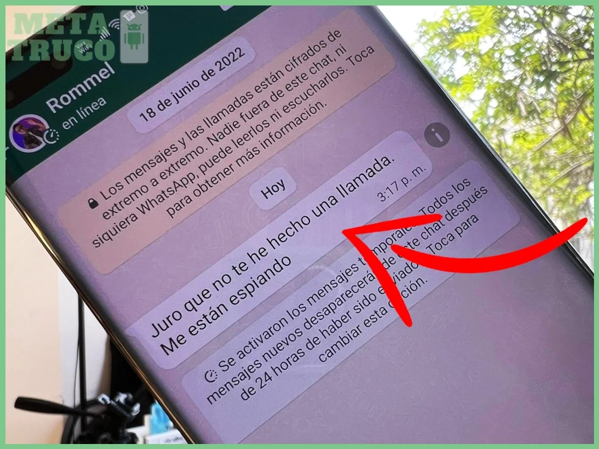 Accede a los ajustes de la app y busca la opción de cuenta