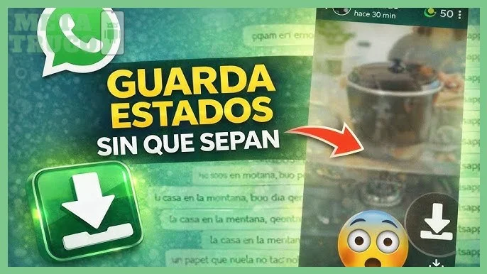 Conocer la ruta exacta de la carpeta de WhatsApp en tu dispositivo