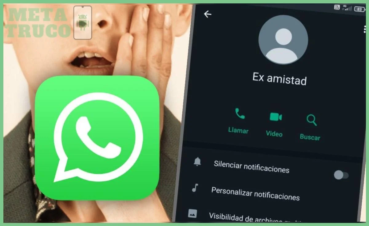Paso 1 — Solicita el informe de datos de tu cuenta en WhatsApp