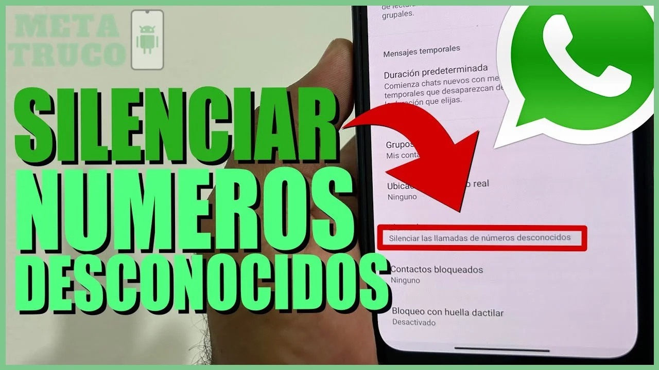 Tener la versión más reciente de WhatsApp instalada